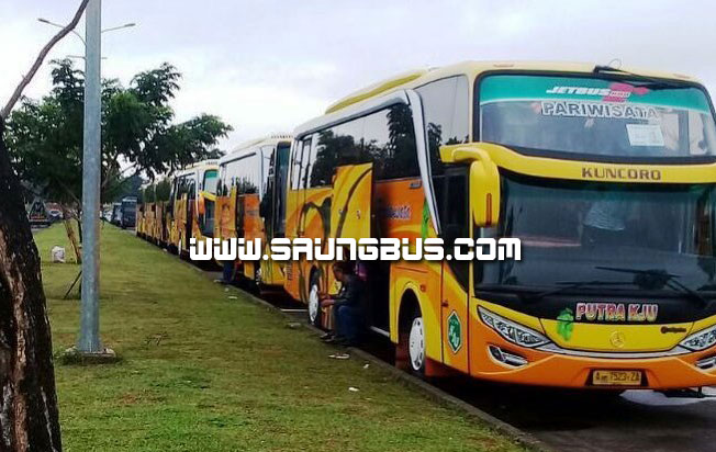 pose ganteng bus pariwisata putra KJU saungbus.com jakarta