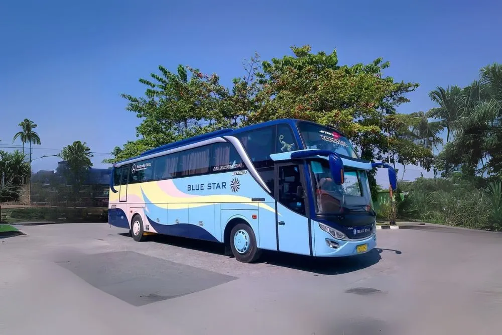harga sewa bus pariwisata blue star
