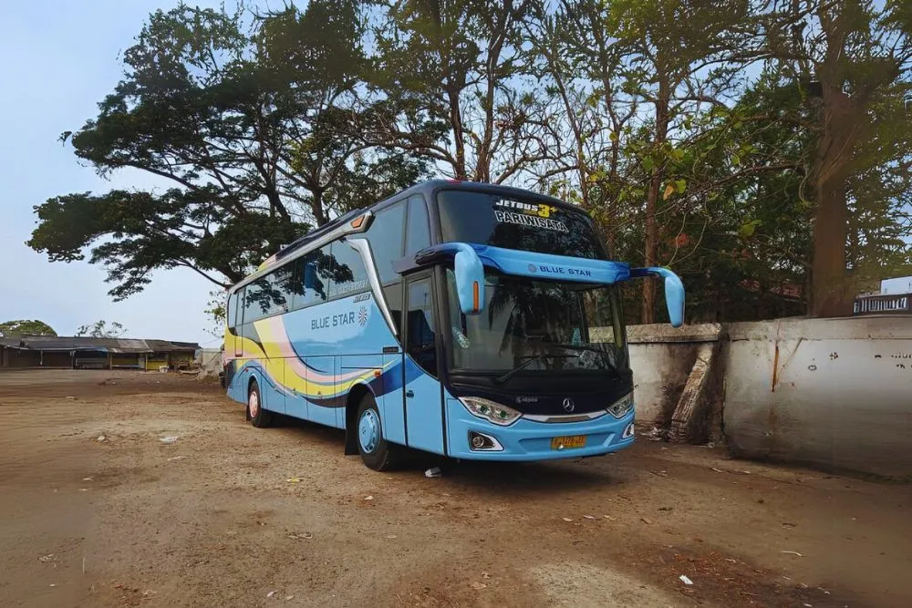 sewa bus pariwisata blue star murah