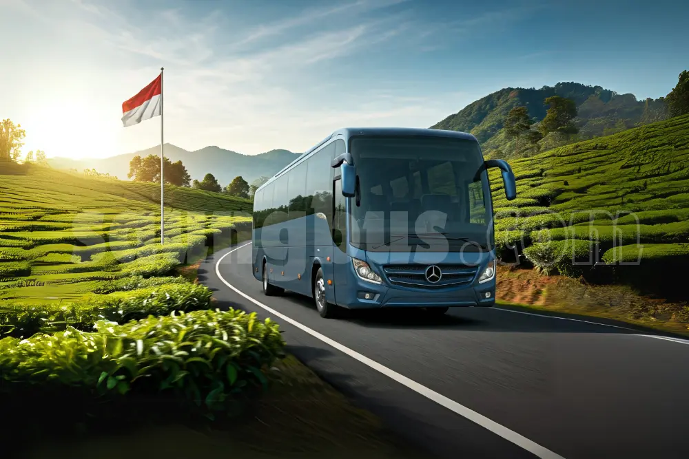 sewa bus pariwisata jakarta jogja murah