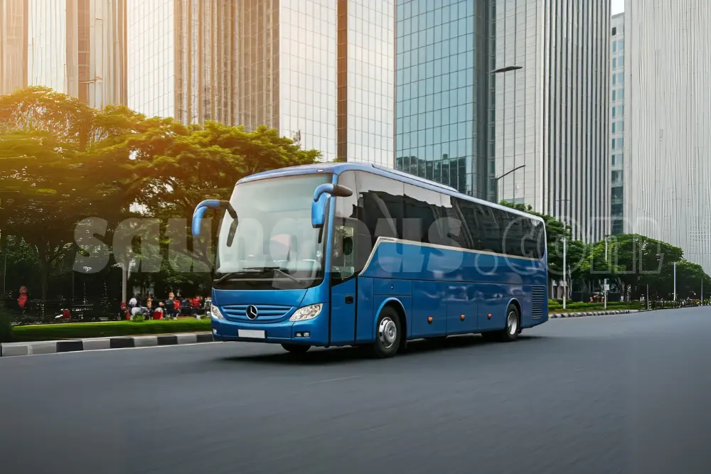 sewa bus pariwisata 50 orang